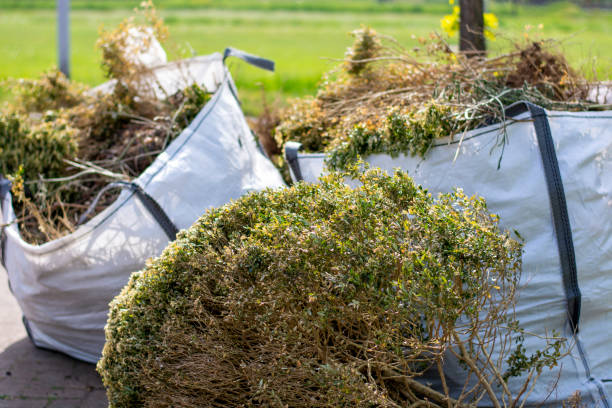Commercial Cleanout Services in Bethel Manor, VA